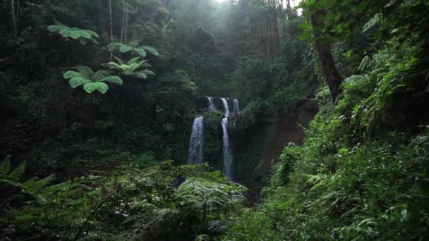 Waterfall Middle Forest Named Grenjengan Kembar Central Java Indonesia Bushes — Stockvideo