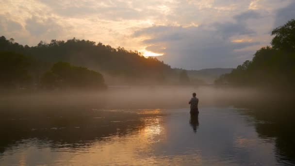 Fly Fishing Morning Fog Golden Hour — Wideo stockowe