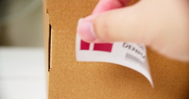 Hands Applying Made Denmark Flag Label Shipping Cardboard Box Products — Stock videók