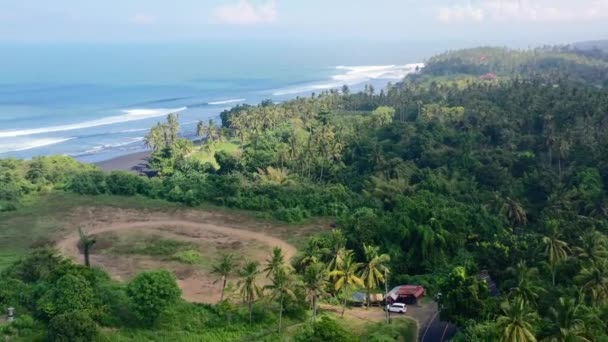 Aerial Jungle Island Coastline Coconut Trees Black Sand Beach Bali — Stock video