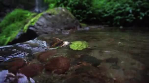 Clear Water Stream Rocky River Middle Indonesia Forest Clean Water — стокове відео