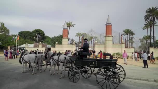 Kočár Kočím Čtyřmi Bílými Koňmi Před Výstavní Branou Jerez Španělsko — Stock video