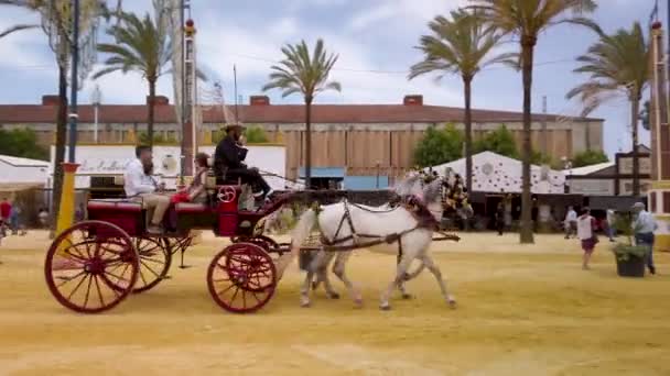 Horse Drawn Carriage Trots Jerez Fairgrounds Spain Follow Pan — Vídeos de Stock