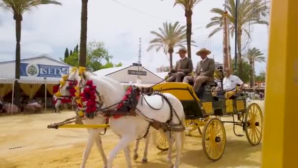 Spanish Couple Rides Horse Drawn Cart Two Coachmen Jerez Fair — стоковое видео