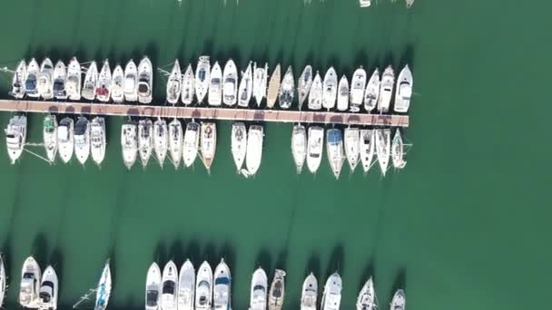 Straight View Port Mallorca Boats Left Right Green Water — Vídeos de Stock