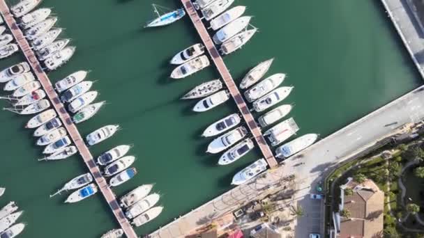 Vista Directa Los Barcos Marina Con Agua Verde — Vídeos de Stock