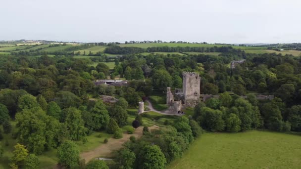 Blarney Castle Ireland Panning Drone Aerial Footage — ストック動画