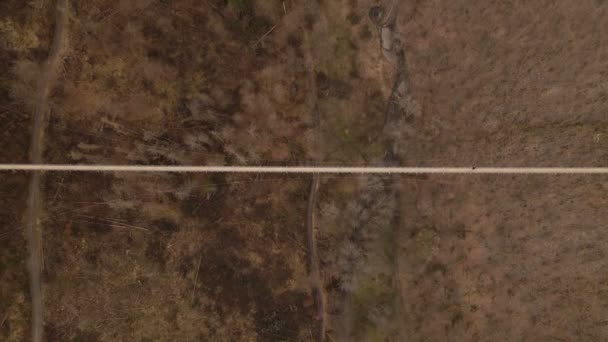 One Person Walking Long Expansive Suspension Bridge Brown Leafless Forest — Wideo stockowe