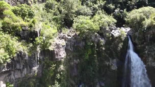 Backward Drone Footage Grand Bassin Waterfall Reunion Island Two People — ストック動画