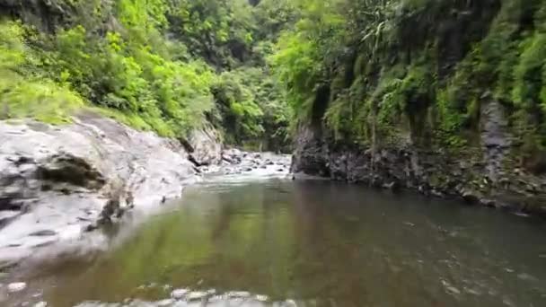 Drone Footage River Rapids Green Canyon Cirque Mafate Reunion Island — 图库视频影像