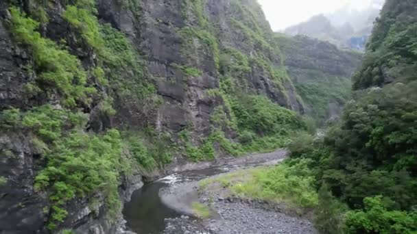 Drone Footage River Deep Jungle Canyon Cirque Mafate Reunion Island — Vídeo de Stock