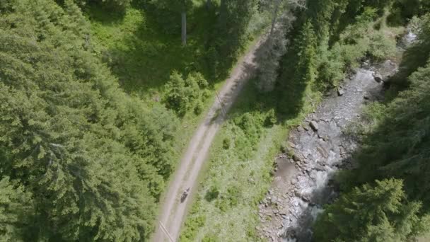 Aerial Overhead Shot Mountain Biker Riding Cross Country Amazing Sunshine — Vídeos de Stock