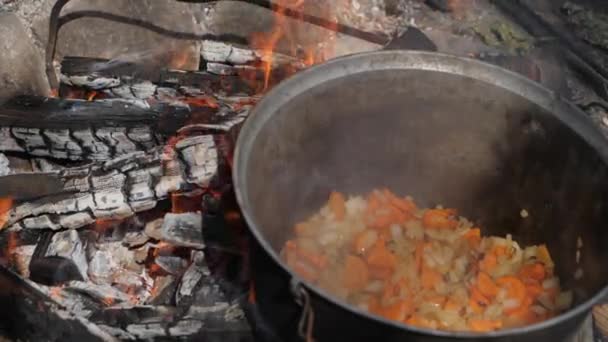 Cooking Carrots Onions Pot Bonfire Slow Motion — 图库视频影像