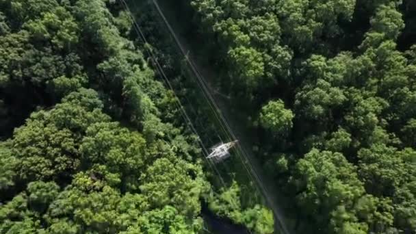 Aerial View Tall Green Trees Sunny Day Long Island Camera — Stockvideo