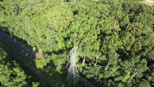 Aerial View Tall Green Trees Sunny Day Long Island Camera — Stockvideo