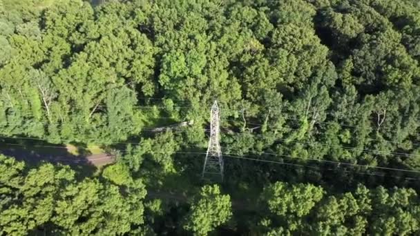 Aerial View Tall Green Trees Sunny Day Camera Tilted Dolly — Video Stock