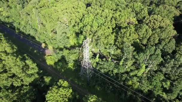 Aerial View Electrical Towers Power Lines Midst Tall Green Trees — Vídeo de Stock
