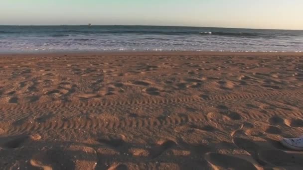 Drone Footage Seal Beach Orange County California Ocean Waves Crashing — Video Stock
