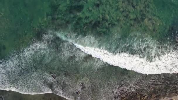 Drone Dans Parc Point Dume Beauté Mer — Video