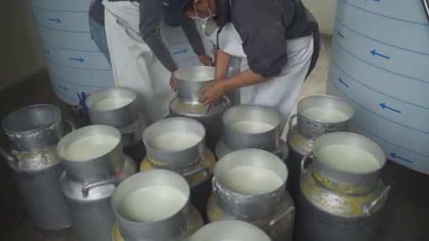Workers Pouring Milk Can Container Milk Food Factory Dairy Products — Stock videók