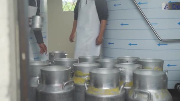 Workers Pouring Milk Can Container Milk Pasteurization Tank Dairy Products — Stockvideo