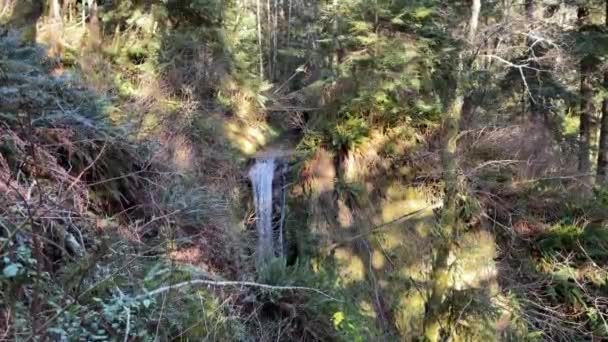 Waterfall Southern Oregon Pacific Northwest Forest — Vídeos de Stock