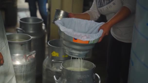 Εργαζόμενοι Χύνουν Γάλα Από Δοχείο Κονσέρβας Για Γάλα Μέσα Εργοστάσιο — Αρχείο Βίντεο