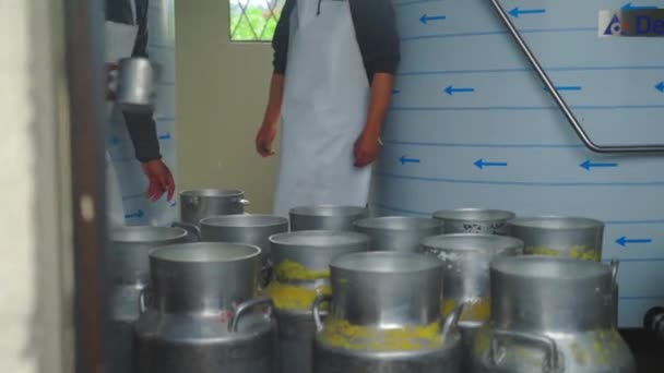 Workers Pouring Milk Can Container Milk Pasteurization Tank Dairy Products — 비디오