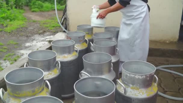 Worker Cleaning Milk Buckets Food Factory Pasteurization Tank Dairy Products — ストック動画