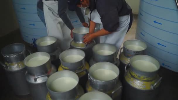 Workers Pouring Milk Can Container Milk Food Factory Dairy Products — Stockvideo
