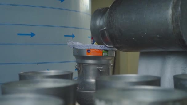 Рабочие Наливают Молоко Контейнера Молока Пищевую Фабрику Молочные Продукты — стоковое видео