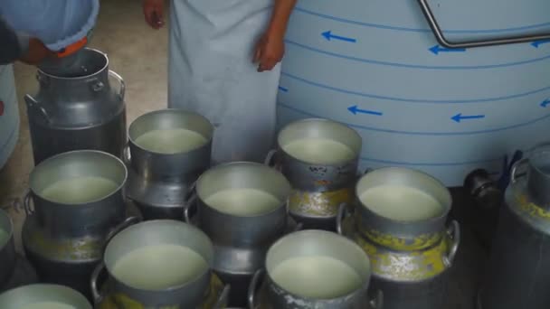 Workers Pouring Milk Can Container Milk Food Factory Dairy Products — Stock video