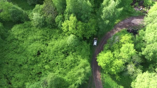 Race Car Crashes Trees Aerial Top View — Vídeo de stock