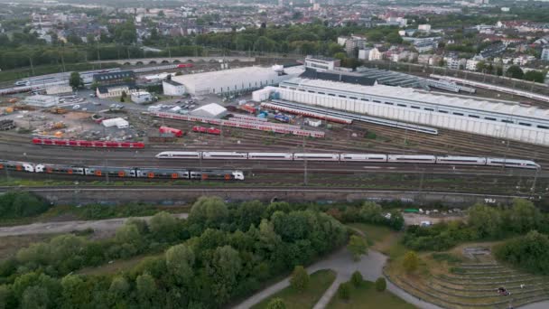 Кельн Германия Luftaufnahme Drohne Mit Einem Regionalzug Rrx Und Einem — стоковое видео