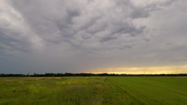 Closeup Flight Green Summer Field Munich Germany Dramatic Sky Storm — Vídeo de stock