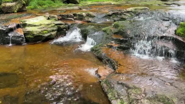Slow Moving Woodland Stream Water Flowing Gently Rocks — Stockvideo