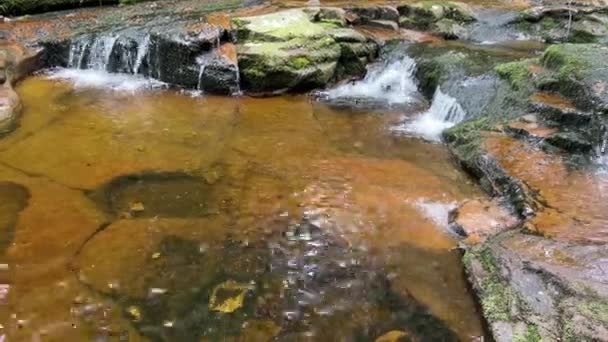 Slow Moving Woodland Stream Water Flowing Rocks Golden Pool — Stockvideo