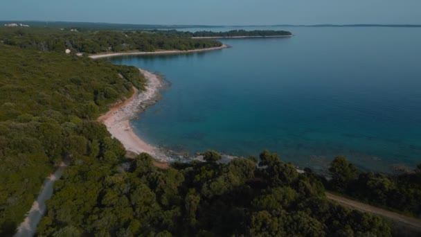 风景秀丽的克罗地亚伊斯特利亚海岸 清澈的蓝色和碧绿的海滨水 在一个自然的海滨海湾森林和松树 在自然度假的旅游度假地进行无人驾驶航空飞行 — 图库视频影像