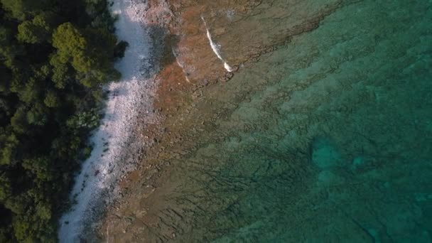 Γραφική Και Όμορφη Θέα Πουλιών Κροατία Ακτή Ίστρια Καταγάλανα Νερά — Αρχείο Βίντεο