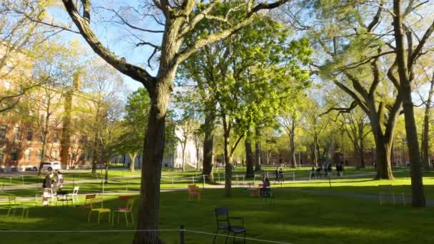 Studenti Procházející Harvard Yard Krásné Jarní Odpoledne — Stock video