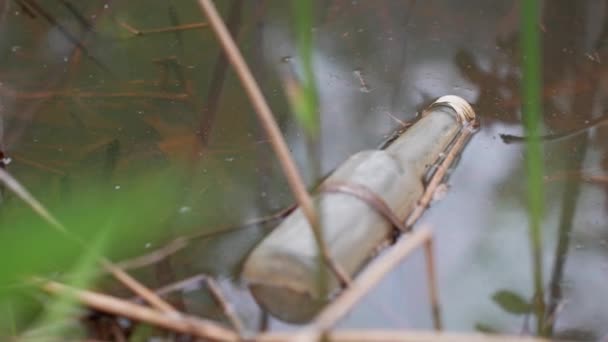 Džin Zpráva Vyhozené Láhvi Znečišťující Jezero Ladoga — Stock video