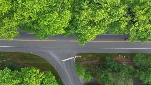 Top Descending Aerial Motorcycle Turning Main Road Side Road Green — Stok video