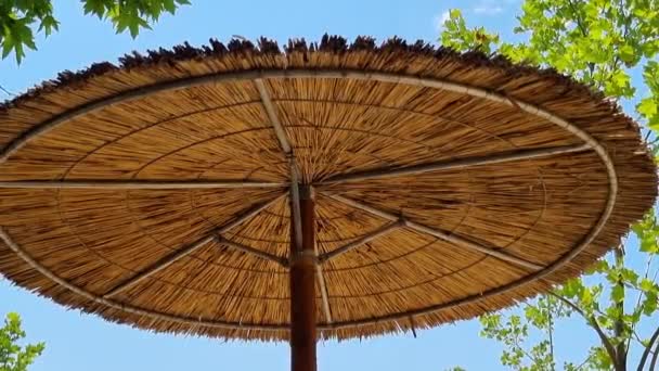 Güneşli Bir Günde Kamış Kamışlı Plaj Şemsiyesinin Ağaçların Altında Uzaklaş — Stok video