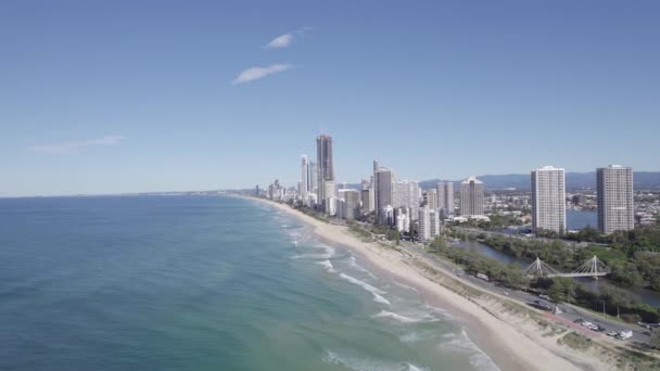 High Rise Buildings Scenic Beach Surfers Paradise Gold Coast Queensland — Video