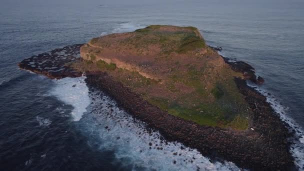 공중에서 내려다본 Foamy Ocean Waves Hitting Rocky Shore Nsw Australia — 비디오