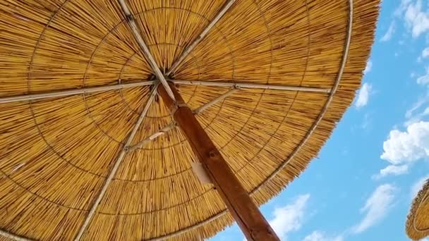 Reed Straw Beach Umbrella Clear Blue Sky Sunny Day Low — Stockvideo