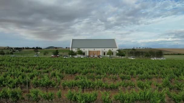 Vineyard White Farm House Franschoek South Africa Sunset Aerial — Stok Video