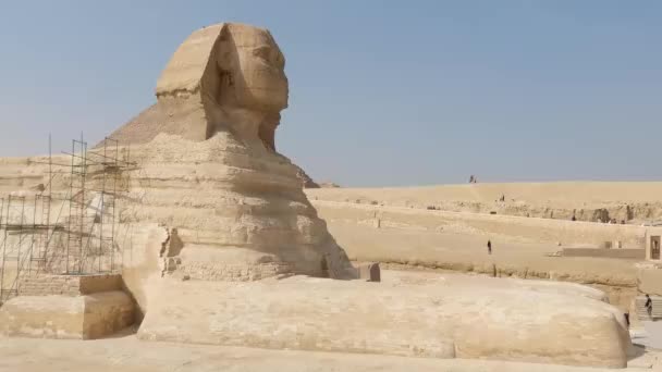 Majestic Side View Sphinx Located Middle Amazing Ancient Giza Pyramid — Wideo stockowe