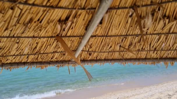 葦のわらのビーチの傘の下のクローズアップビューの背景には海の波 ストローパラソル — ストック動画