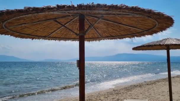 Reed Saman Plajı Şemsiyesi Deniz Dalgaları Saman Şemsiyesi Thatched Şemsiyesi — Stok video